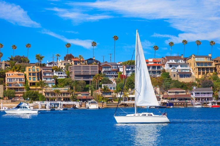 A small white sailboat glides through Newport Bay past a busy coast in Newport Beach, California. Tall, skinny palm trees are spaced evenly behind the colorful waterfront buildings, creating a distinct skyline.