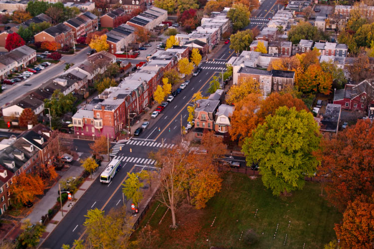 Aerial view of residential streets in Wilmington, Delaware. There’s a park in the foreground and the large, mature trees are changing colors with the coming of fall.