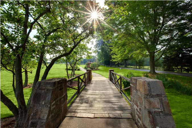 View of a beautiful walking path through a green field in Delaware