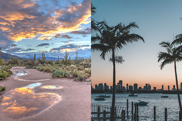 A desert scene in Arizona juxtaposed against a sunset view of Miami, illustrating the differences between the two retirement locations. For those considering retiring in Arizona, pros and cons like natural beauty and general climate are important to think about.