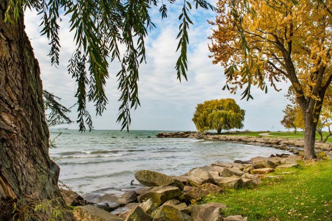 View of Lake Erie from Edgewater Park in Cleveland’s Edgewater neighborhood, featuring mature trees that are growing just feet from the shore.
