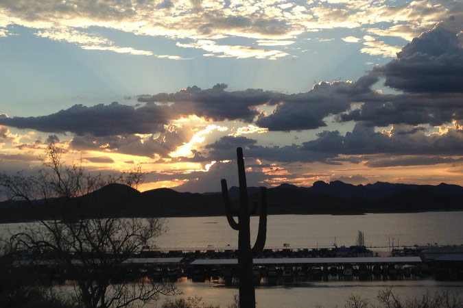 Sunset view at Pleasant Harbor Marina with the mountains in the distance and a large cactus silhouette in the foreground.