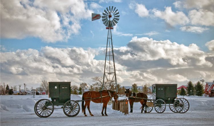 Amish buggies are parked beside a garden water tower in Shipshewana, Indiana