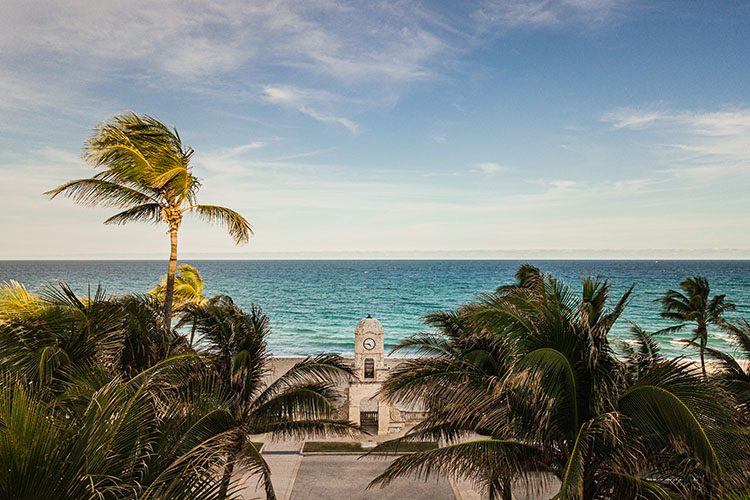An image of the clocktower in West Palm Beach, Florida, with the ocean in the background. The breeze whips through the palm trees in the image. 