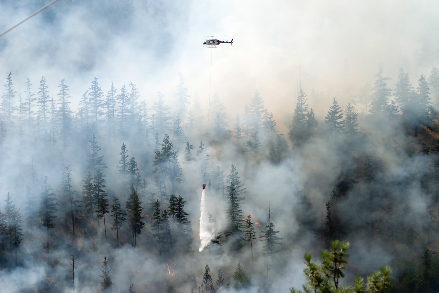 helicopter putting out forest fire